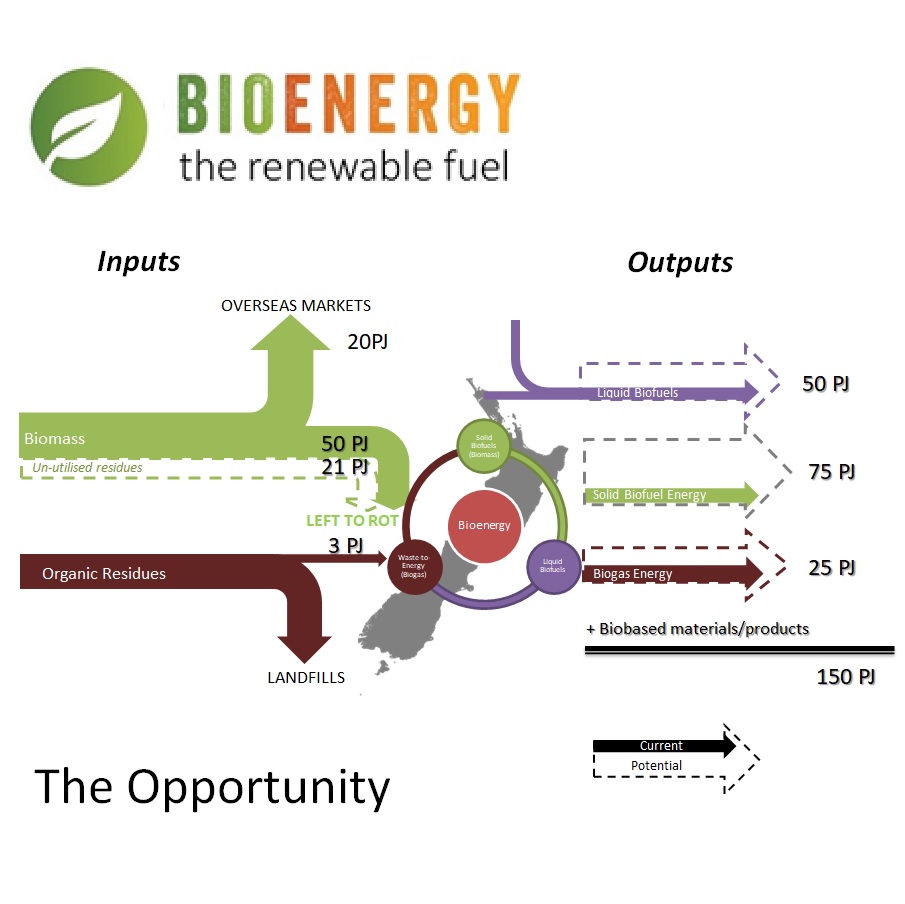 Bioenergy Association liquid fuels